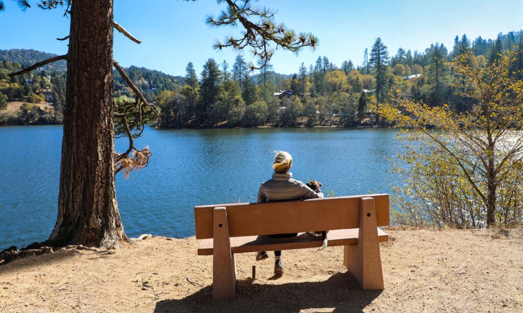 Lago Gregory California