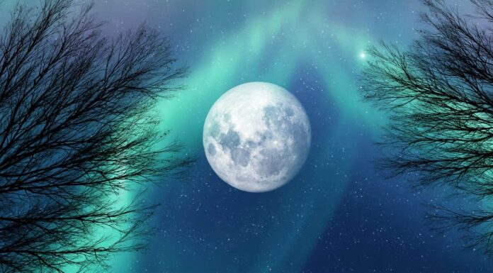 rami di alberi morti e luci dell'aurora verde e superluna incandescente.  incredibile paesaggio del cielo notturno