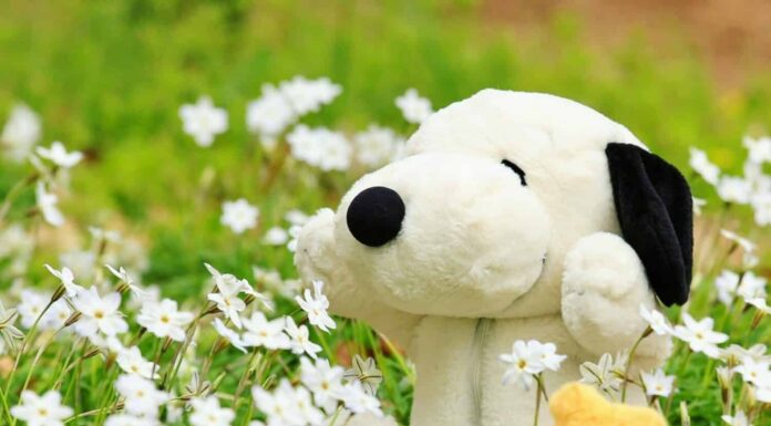 Sekiguchi Snoopy Retrons Snoopy è nel giardino fiorito
