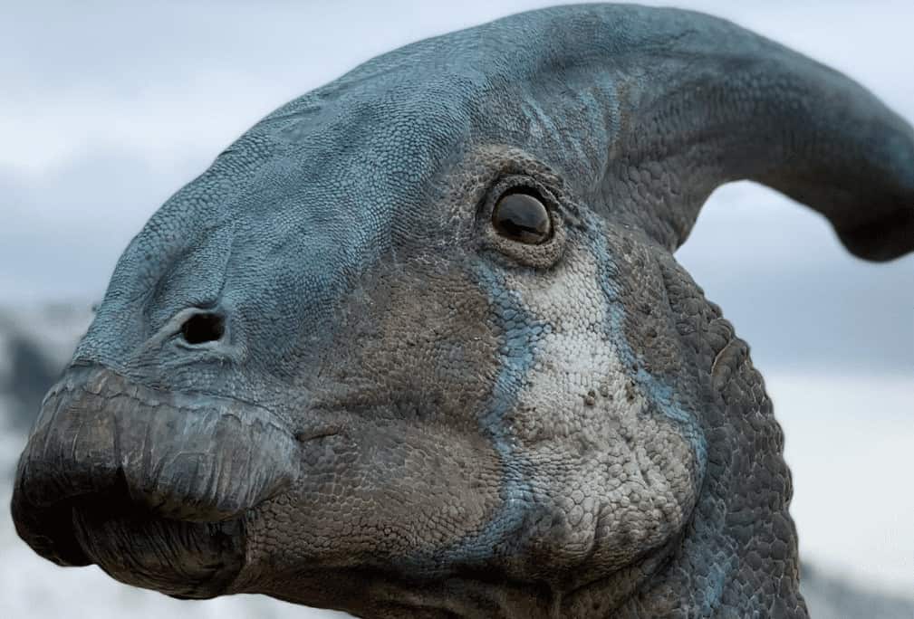 Incontra il Parasaurolophus - Il dinosauro con una cresta in testa