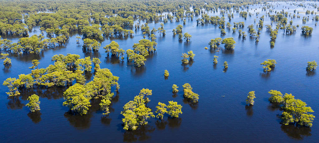 Quanto è profondo il fiume Atchafalaya?