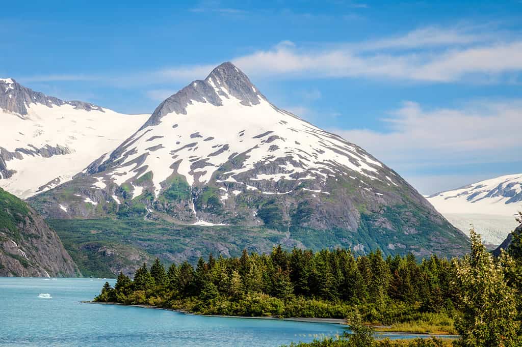 Area del lago di Portage, area del ghiacciaio di Portage, Alaska.  Lo scenario è spettacolare durante le escursioni su questo bellissimo sentiero perimetrale.