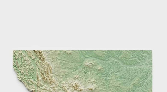 Mappa di rilievo topografico del Montana - rendering 3D