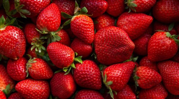 9 frutti succosi da raccogliere e mangiare a luglio per sapori freschi e deliziosi
