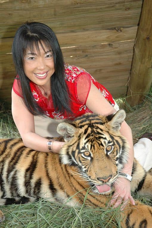 Conservazionisti famosi: Fondatore di Save China's Tiger, Li Quan wikimedia: Il titolo della pagina richiesto è vuoto o contiene solo il nome di uno spazio dei nomi.
