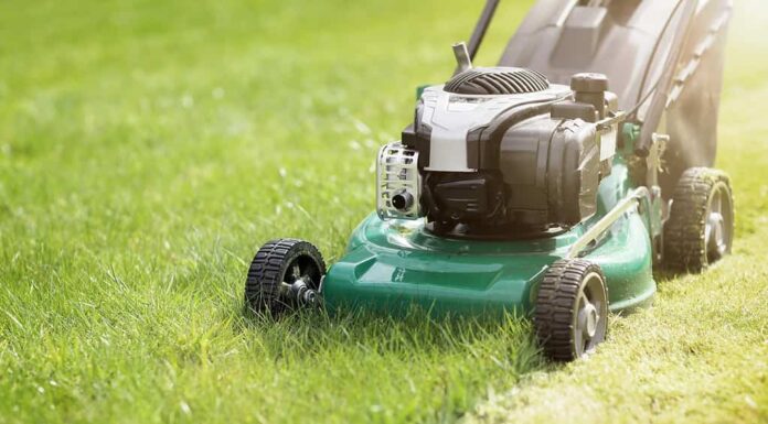 Falciare o tagliare l'erba alta con un tosaerba verde sotto il sole estivo