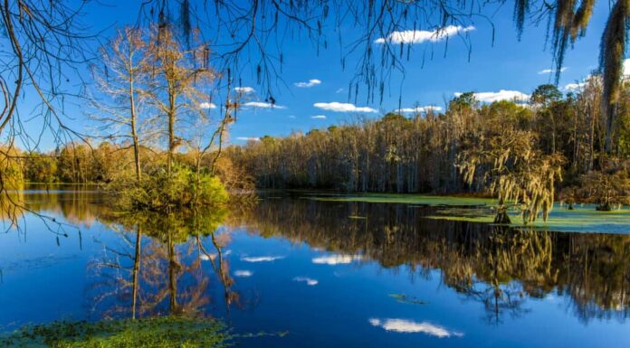 Giardino della palude di Audobon