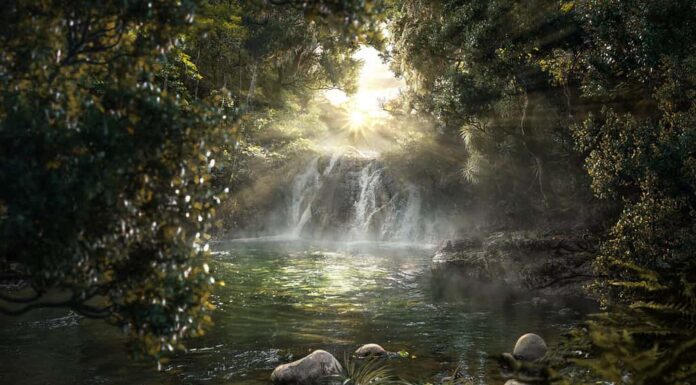 Giungla celeste con una bellissima cascata