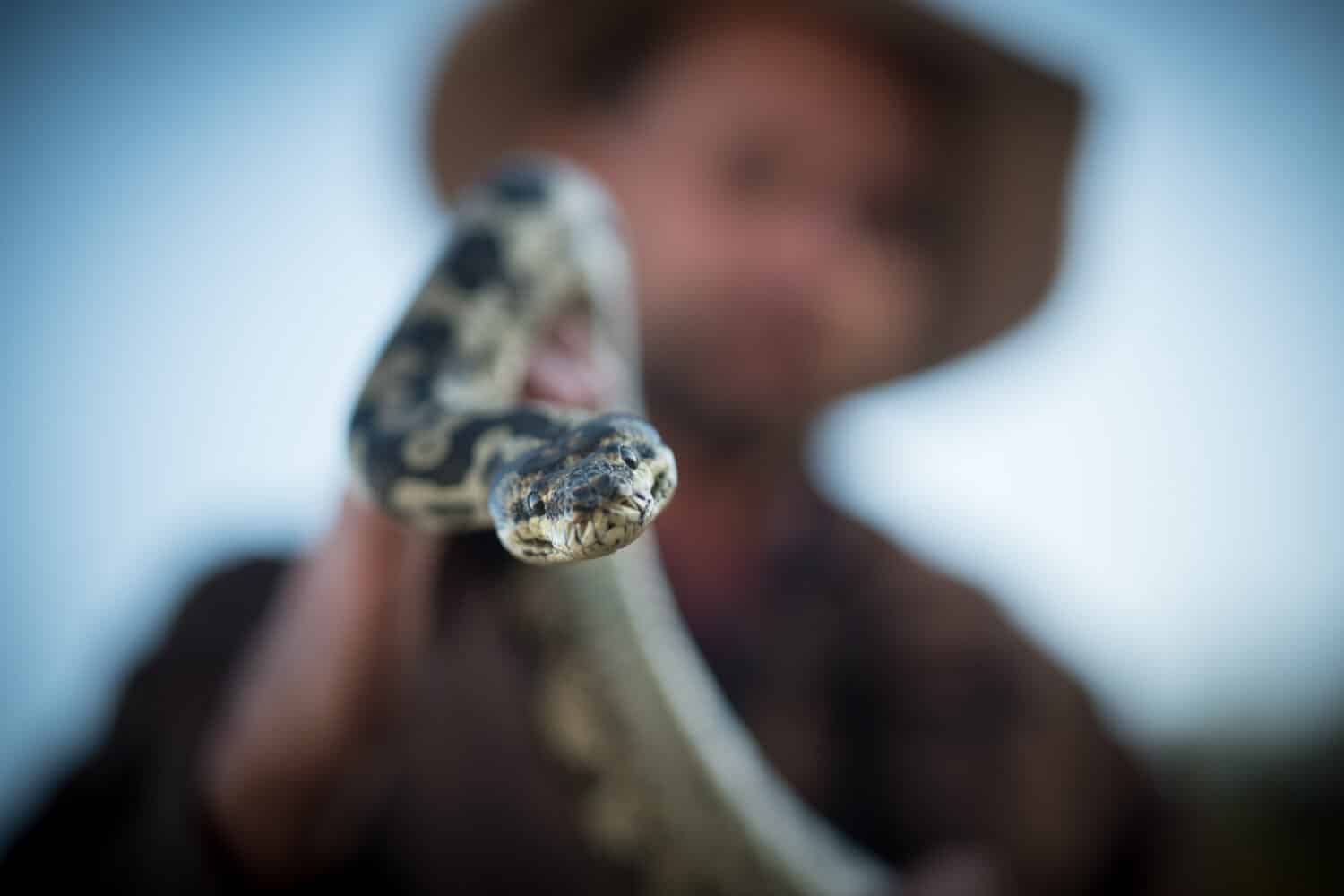 gestore di serpenti con Python