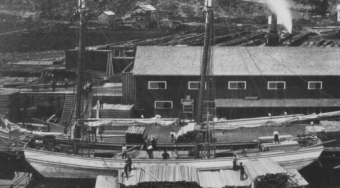 3. Il fiore di maggio