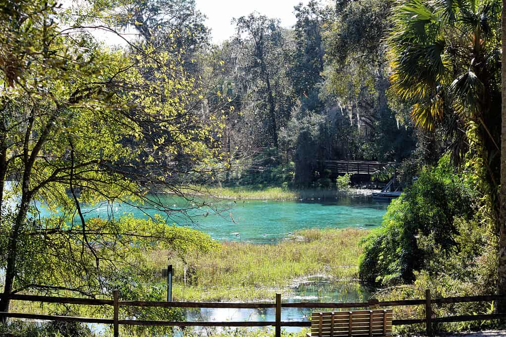 Giardini a Rainbow Springs Dunnellon, Florida