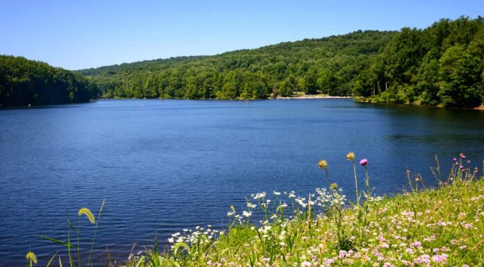 Questa è una foto del Cunningham Falls State Park nel Maryland.