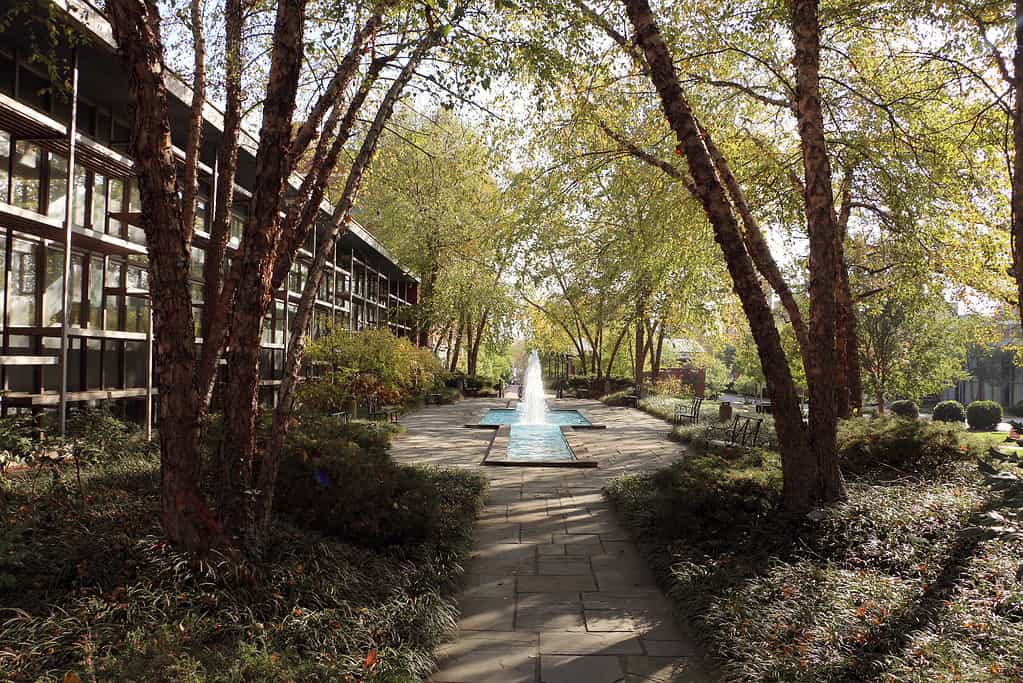 Università di Louisville, KY Belknap Campus