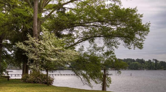 Bonner's Point Bath Carolina del Nord
