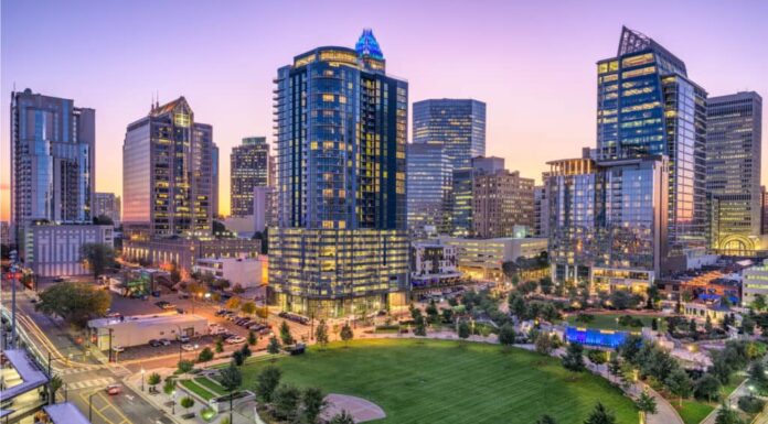 Serie Dog Park - Charlotte