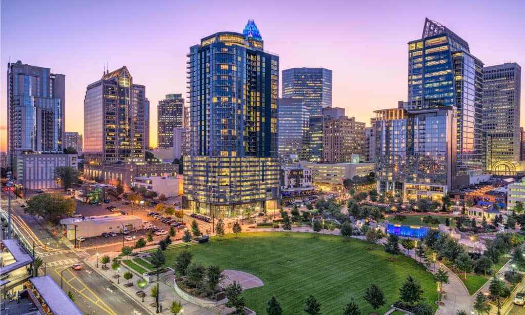 Serie Dog Park - Charlotte