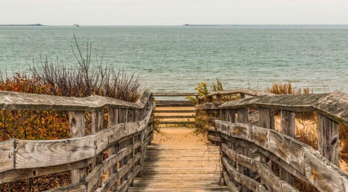 Primo Landing State Park