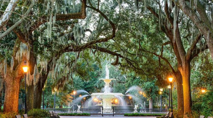 Savannah, Georgia, Stati Uniti d'America alla Forsyth Park Fountain.