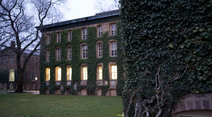 Vene di edera sul muro dell'edificio e vista sul campus di Princeton