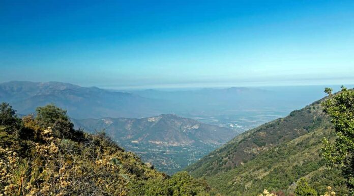 Vista sulle montagne delle Ande e dell'Aconcagua con la foresta di alberi verdi dal Cerro la Campana, montagna costiera di Valparaiso, in una giornata limpida nel parco nazionale La Campana nel Cile centrale, Sud America