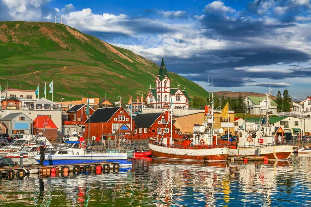Bovari di Appenzell che corre sull'erba verde