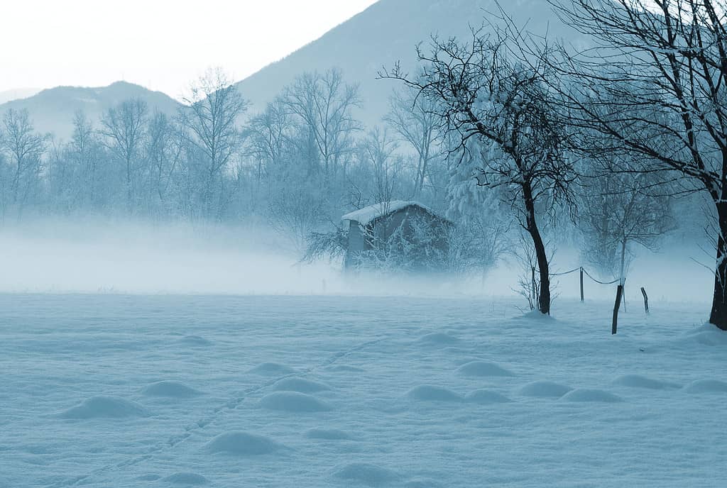 Tempesta di neve nel deserto
