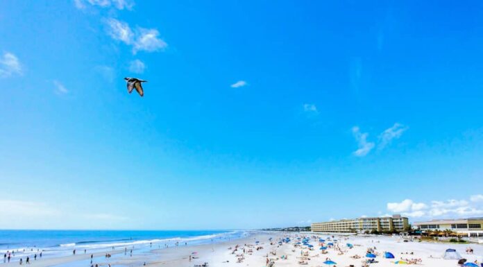 Folly Beach, Carolina del Sud