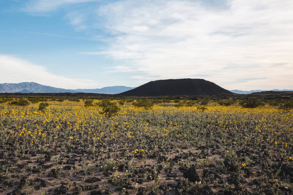 Deserto del Mojave in California