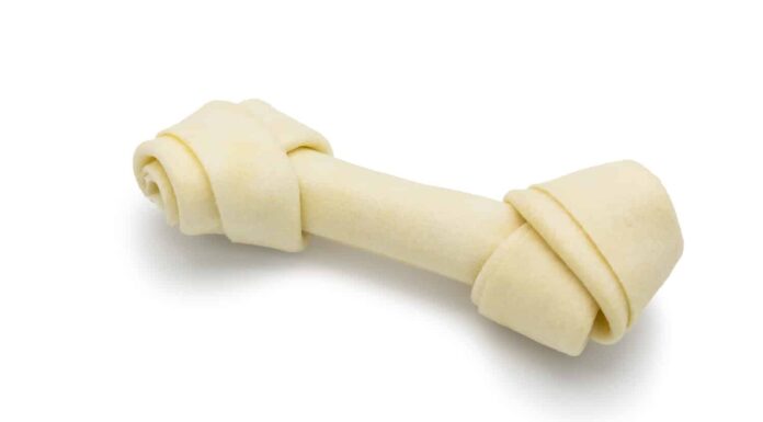 Osso di cane isolato su priorità bassa bianca