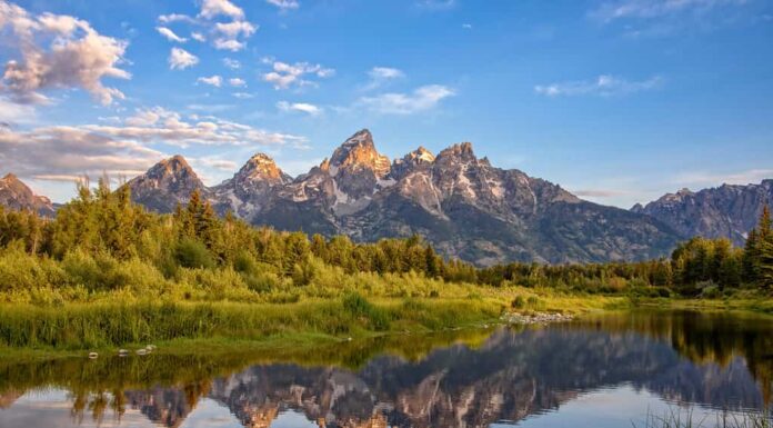 Approdo di Schwabacher, Jackson Hole, Wyoming.  Le montagne del Grand Teton si vedono all'alba riflesse nell'acqua calma del fiume Snake.