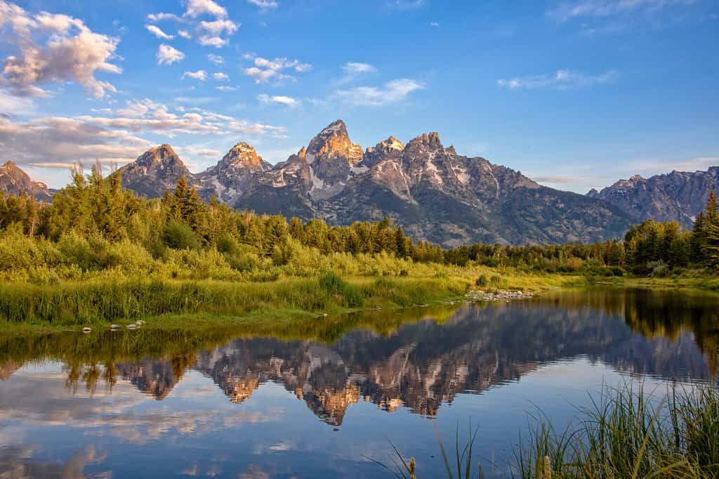 Approdo di Schwabacher, Jackson Hole, Wyoming.  Le montagne del Grand Teton si vedono all'alba riflesse nell'acqua calma del fiume Snake.
