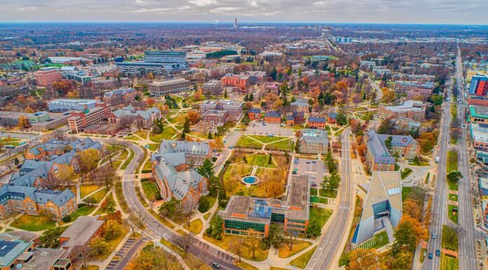 Vista aerea Michigan colori autunnali