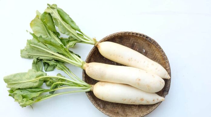 vista dall'alto e copia spazio daikon bianco fresco, ravanello daikon, ravanello, ravanello bianco, (raphanus sativus var. longipinnatus) in un cesto di legno isolato su sfondo bianco.
