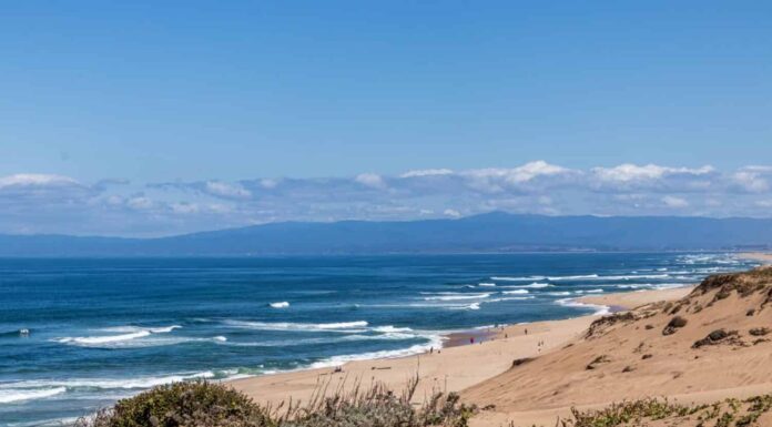 Vista della baia di Monterey dall'alto delle dune