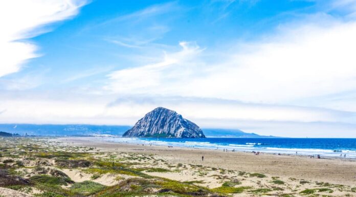 Morro Strand State Beach
