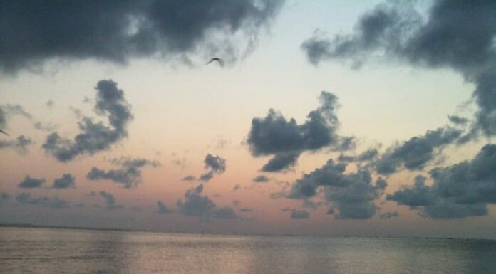 Alba sulla baia di Tampa