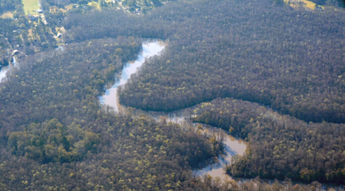 Amite fiume Louisiana