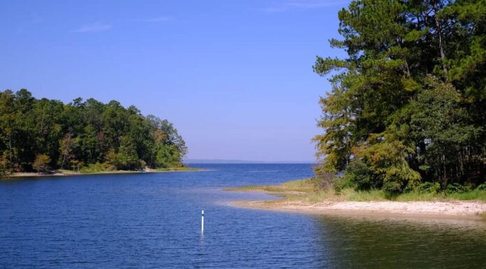 Vista del bacino idrico di Toledo Bend dal South Toledo Bend State Park ad Anacoco, LA