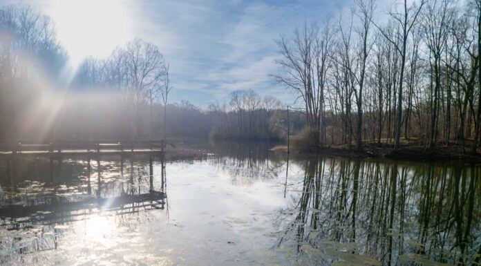 Stagno a Maybury State Park a Northville, Michigan all'inizio della primavera.  Le alghe verdi possono essere viste nel lago vicino al molo di pesca.