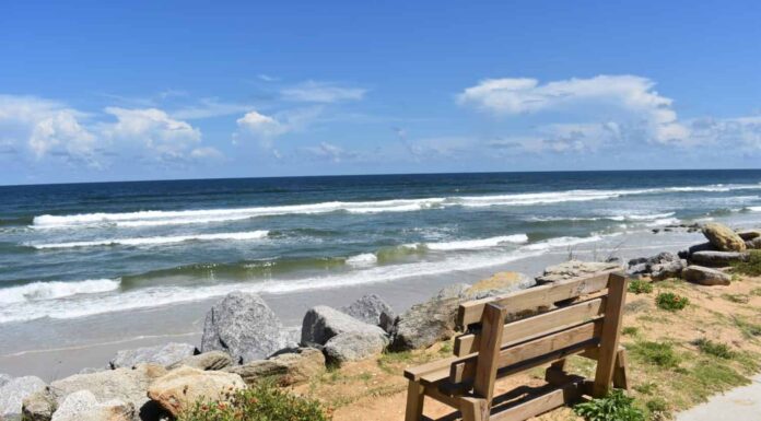 Un colpo alla luce del giorno di una panchina con vista sull'oceano a Marineland Florida 