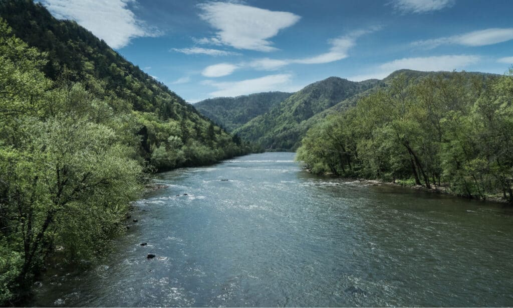 Il fiume più grande della Carolina del Nord: il Broad River francese