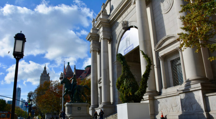 Lanterna di fronte al Museo Americano di Storia Naturale, Manhattan, New York City