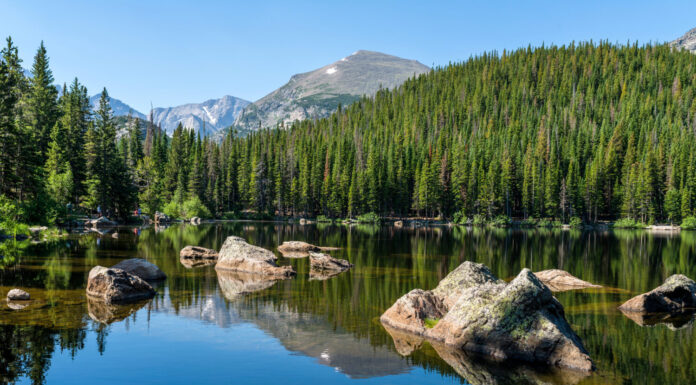 Bear Lake - Una soleggiata mattinata estiva con vista di una sezione rocciosa del Bear Lake, Parco Nazionale delle Montagne Rocciose, Colorado, Stati Uniti.
