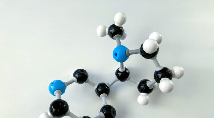 Modello a bastoncino e sfera di una sostanza chimica con gruppi amminici presenti