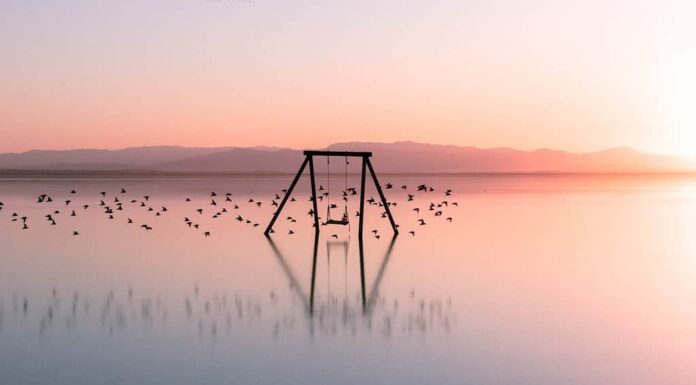Salton Sea Altalena sulla spiaggia Bombay