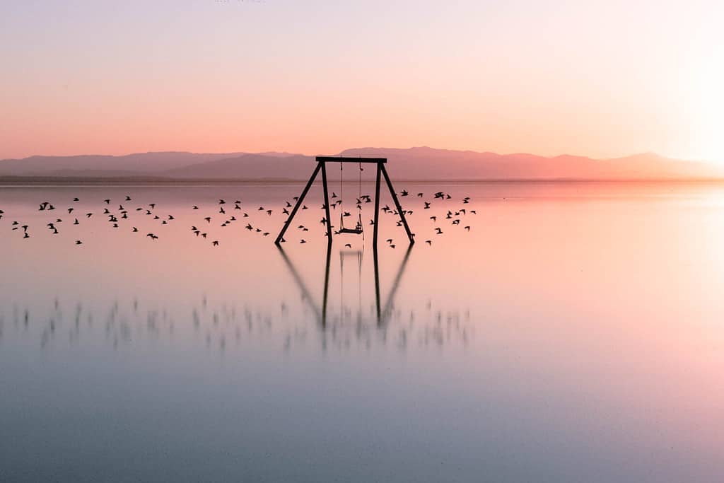 Salton Sea Altalena sulla spiaggia Bombay