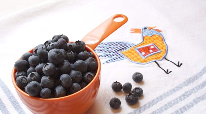 Mirtilli in un misurino