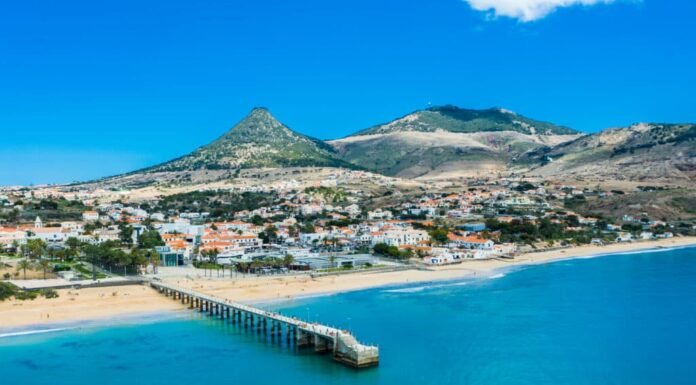 Incontra la lucertola che si infilò nella valigia di una coppia e viaggiò per oltre 1.000 miglia
