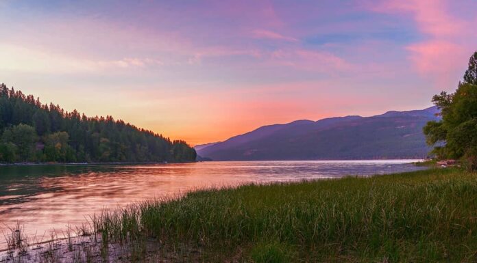 Lago del coregone.  Contea di Testapiatta.  Montana.  Stati Uniti d'America