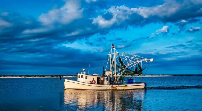 peschereccio in partenza dal porto per una giornata di lavoro nel Golfo del Messico